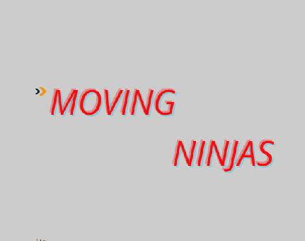 Moving Ninjas