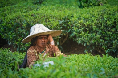 Women&rsquo;s Agriculture Work Potentially Have Negative Outcomes: Study