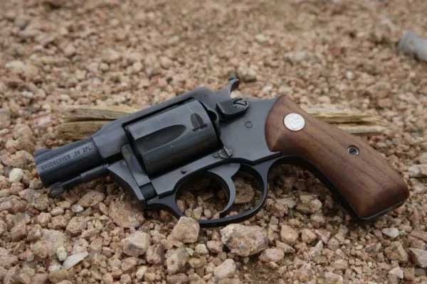 K'taka Residents Bought Highest No. of India's Indigenous Revolver 'Nidar': RTI