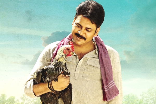 Katamarayudu brings huge figures on Business