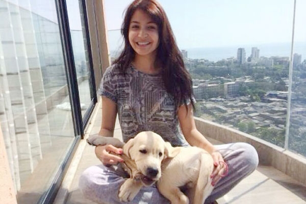 Ae Dil Hai Mushkil, Anushka Sharma, Bulleya