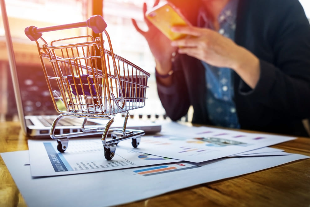 The eCommerce Website Development Company in Delhi