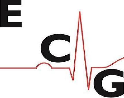 ECG Ltd