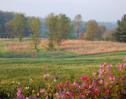 Dayspring Silent Retreat Center