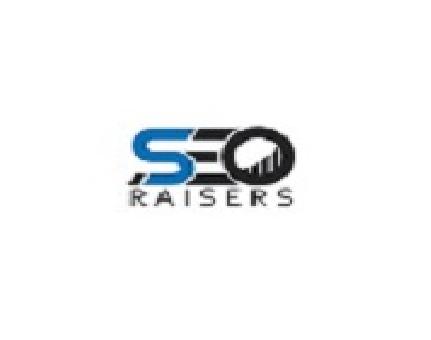 Seoraisers - Best SEO Company