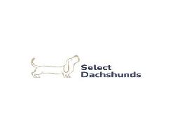 Select Dachshunds