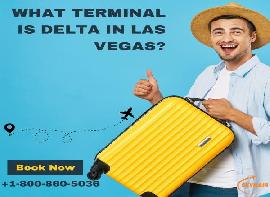 What terminal is Delta in..