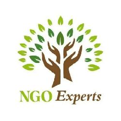 Ngo Experts
