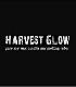 Buy Amish Harvest Fragrance, Scented Candles Online USA