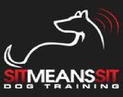 Sit Means Sit Dog Training Orlando