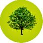 Plant a Tree For Someone Who Has Died