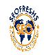 TOP SEO SERVICES COMPANY|SEOFreshs