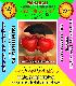 Indian Vashikaran specialist, Get your Love Back, 3