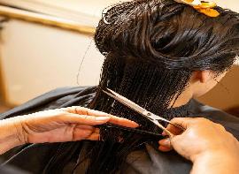 Blonde and Bronde Salon