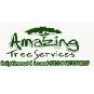 Amazing Tree Services