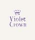 Violet Crown Austin Landscape and Design1