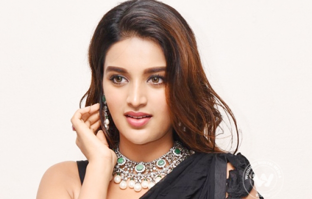 nidhi-agerwal-03