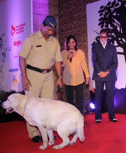 Amitabh at Pawsitive People's Awards