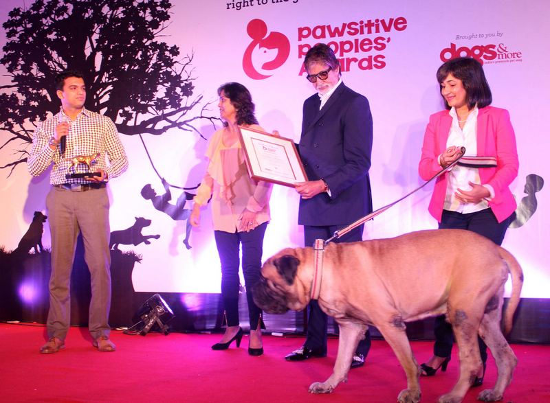 Amitabh at Pawsitive People's Awards
