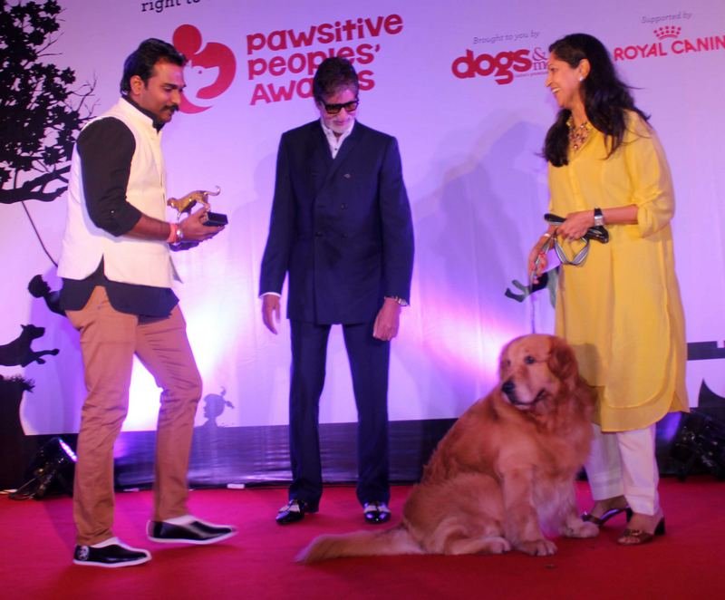 Amitabh at Pawsitive People's Awards