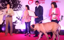 Amitabh at Pawsitive People's Awards