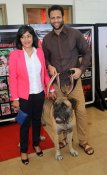 Amitabh at Pawsitive People's Awards