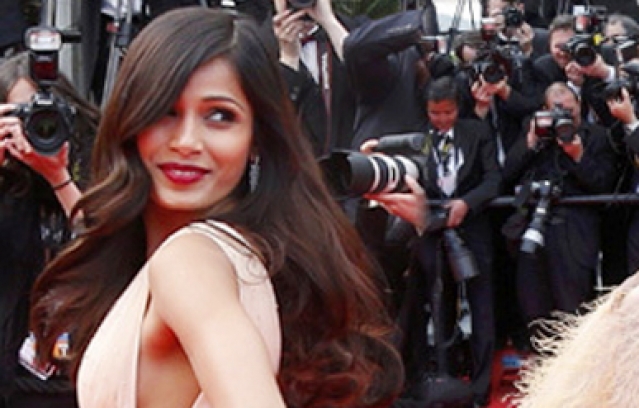 Bollywood Celebrities at Cannes 2014 Red Carpet