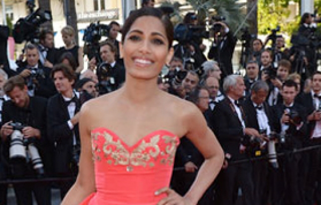 Bollywood Celebrities at Cannes 2014 Red Carpet