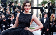 Bollywood Celebrities at Cannes 2014 Red Carpet