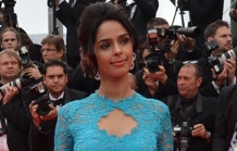 Bollywood Celebrities at Cannes 2014 Red Carpet