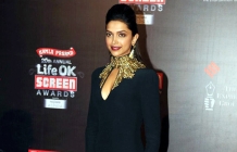 B-Town Celebs shine in Screen Awards