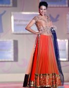 Celebs hit the ramp for a noble cause