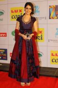 Celebs at Zee Cine Awards 2014