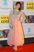 Celebs at Zee Cine Awards 2014