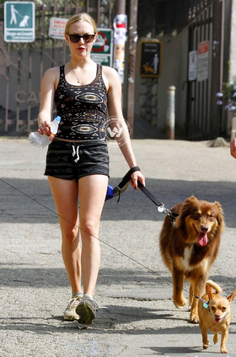 Amanda Seyfried Latest Gallery