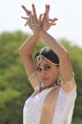 _DSC79250005