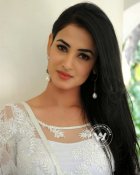 Sonal Chauhan Latest Pics