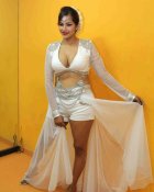 Tanisha Singh Celebrates Holi