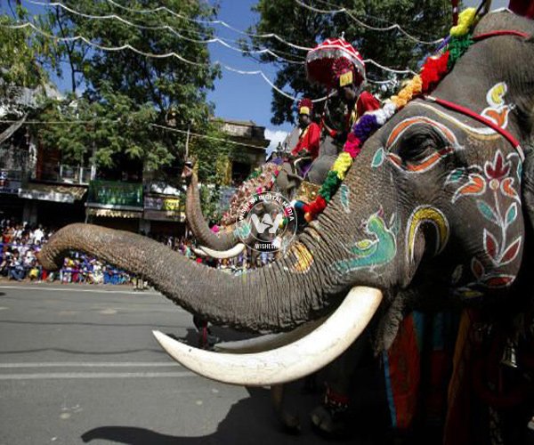 Mahouts ride decorated elephants