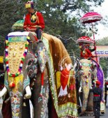 Mahouts ride decorated elephants