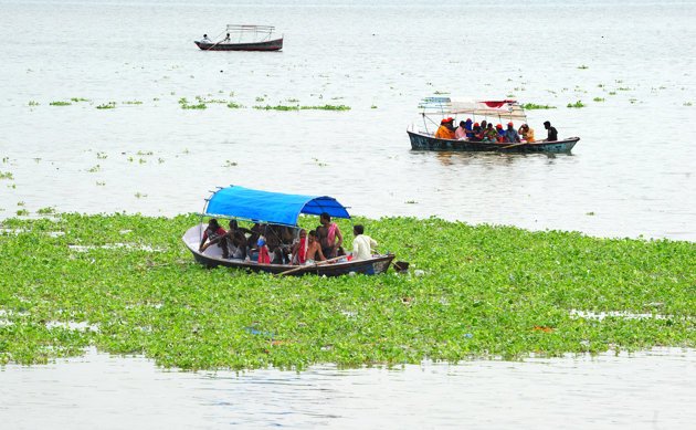 Heavy Rains Hit Life