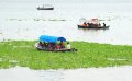 Heavy Rains Hit Life