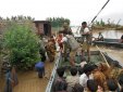 Heavy Rains Hit Life