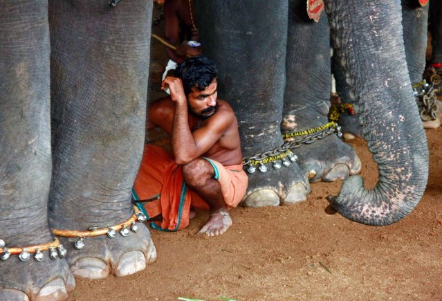 Incredible Images from India