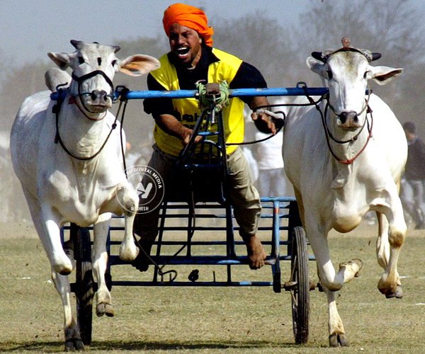 Must do things in India before you die