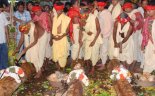 Rath Yatra 2013