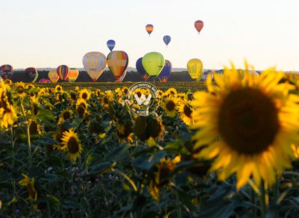 Air balloon festival