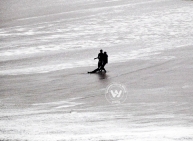 Big waves that killed