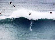 Big waves that killed