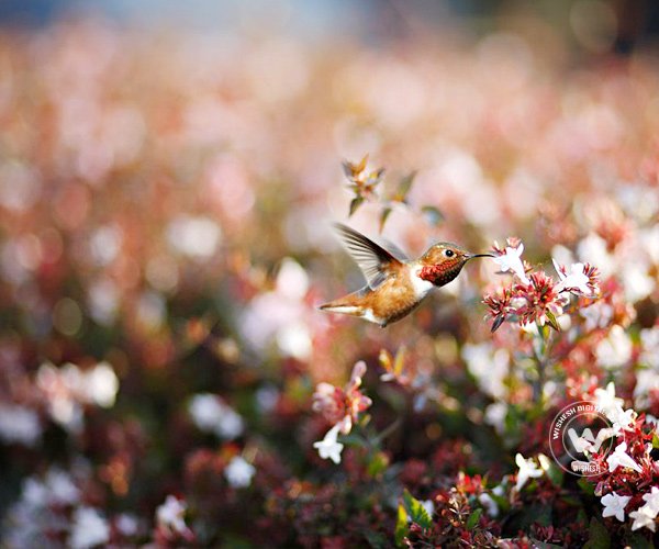 Earth's maginificent landscapes